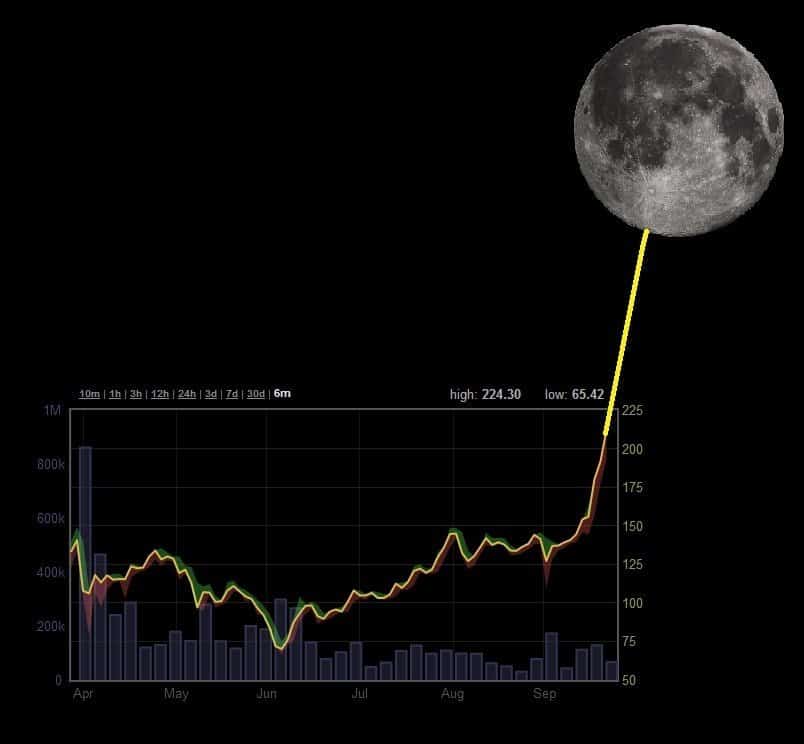 Crypto Coin To the Moon
